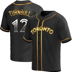 Spencer Turnbull Men's Toronto Blue Jays Black Golden Replica Alternate Jersey