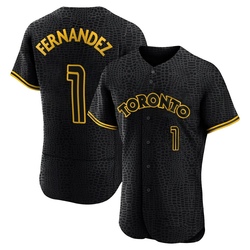 Tony Fernandez Men's Toronto Blue Jays Black Authentic Snake Skin City Jersey
